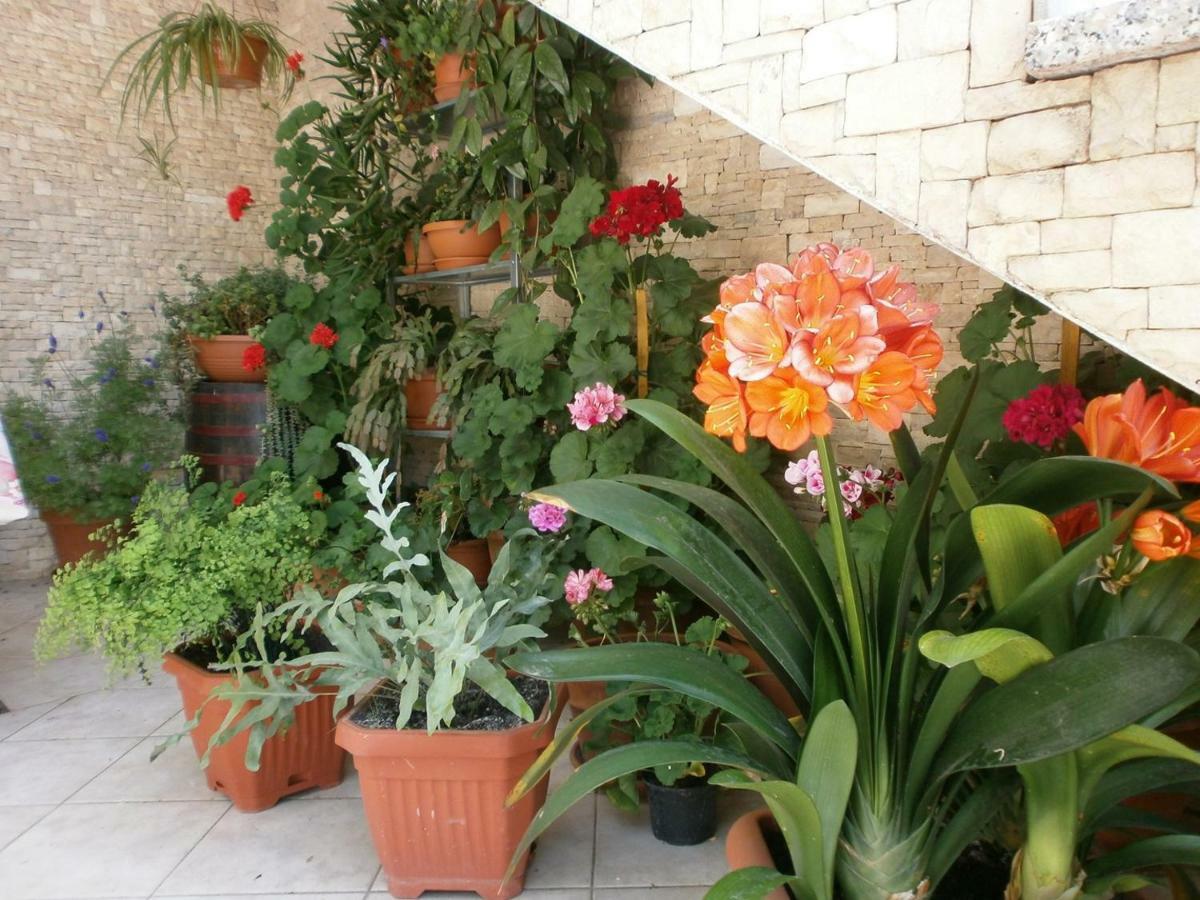 Villa Vrancic Rovinj Extérieur photo