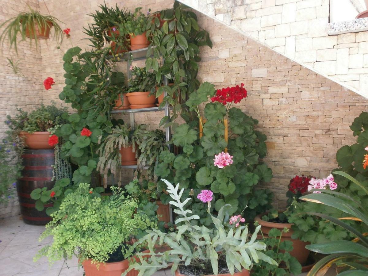 Villa Vrancic Rovinj Extérieur photo