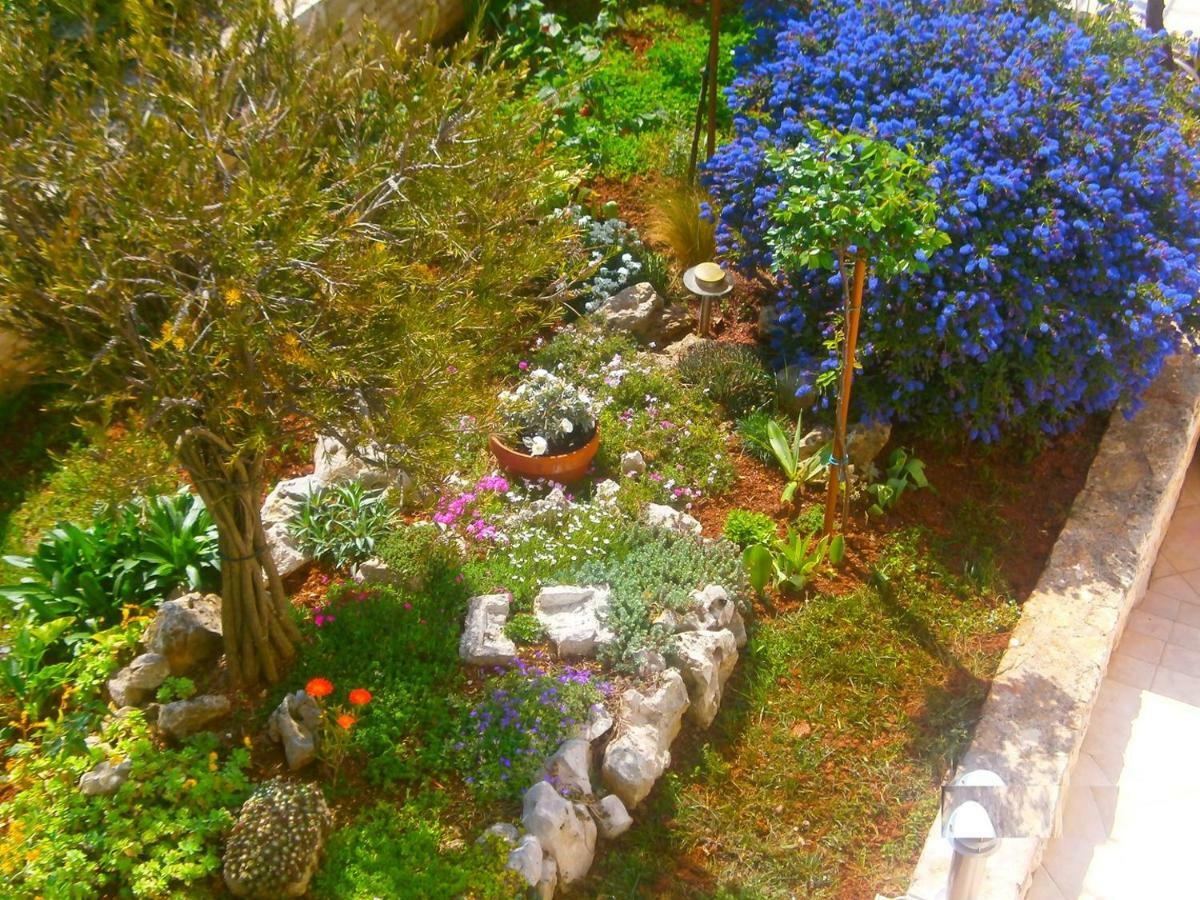 Villa Vrancic Rovinj Extérieur photo